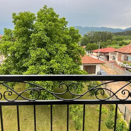 Deluxe Daris-free Parking *